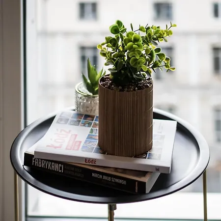 Parrot - 77 Wigury - Dostep Na Kod - Parking - Smaczna Kawa - Centrum - Blisko Piotrkowska - Galeria - Widok Na - Klimatyzacja - 7 Pietro - Fv Apartmán